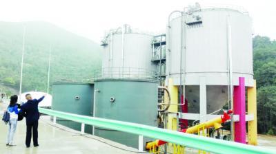 殘湯剩菜變廢為寶 從廚余垃圾到有機肥、沼氣與化工原料的綠色循環